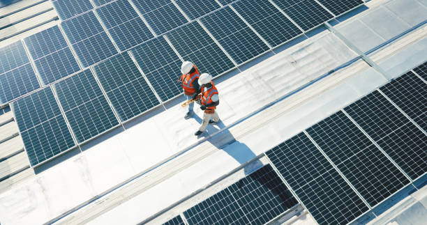 Best Roof Moss and Algae Removal  in Thornport, OH